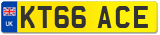 KT66 ACE