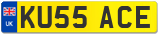 KU55 ACE