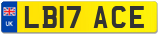 LB17 ACE
