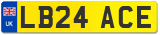 LB24 ACE