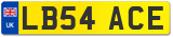 LB54 ACE