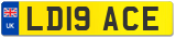 LD19 ACE