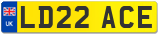 LD22 ACE