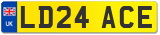 LD24 ACE