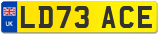 LD73 ACE