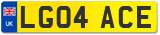 LG04 ACE