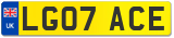 LG07 ACE