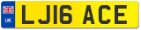 LJ16 ACE