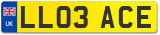 LL03 ACE