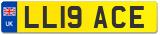 LL19 ACE