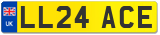 LL24 ACE