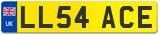 LL54 ACE