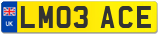 LM03 ACE