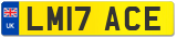 LM17 ACE