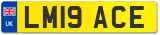 LM19 ACE