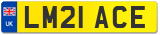 LM21 ACE