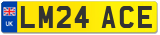 LM24 ACE