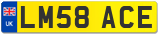 LM58 ACE