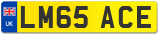 LM65 ACE