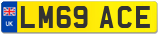 LM69 ACE