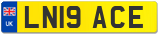 LN19 ACE