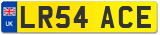 LR54 ACE