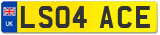 LS04 ACE