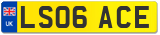 LS06 ACE