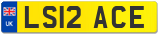 LS12 ACE