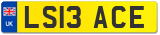LS13 ACE