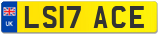 LS17 ACE
