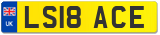 LS18 ACE