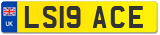 LS19 ACE
