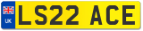 LS22 ACE