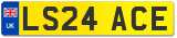 LS24 ACE