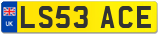 LS53 ACE