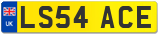 LS54 ACE