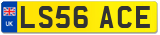 LS56 ACE