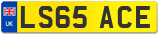 LS65 ACE