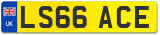 LS66 ACE