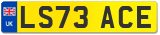 LS73 ACE