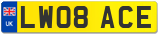 LW08 ACE