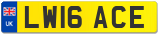 LW16 ACE