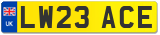 LW23 ACE