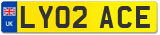 LY02 ACE