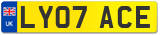 LY07 ACE