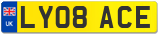 LY08 ACE