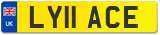 LY11 ACE