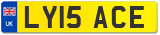 LY15 ACE