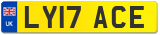 LY17 ACE